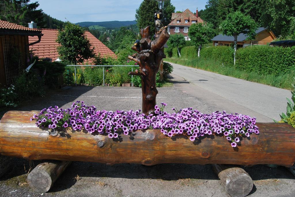Pension Restaurant Waldblick Feldberg  Luaran gambar